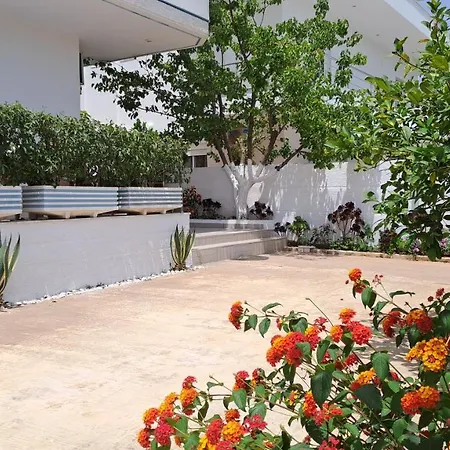 Ali Hotel 3*