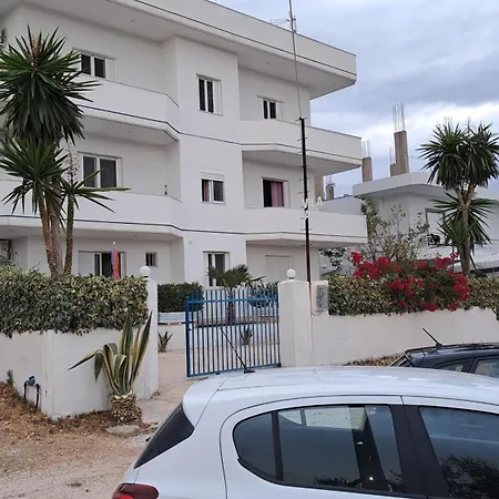 Hotel Ali